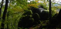 002 die laubbaeume am teufelsfelsen in mitterfels verfaerben sich ganz allmaehlich  ft